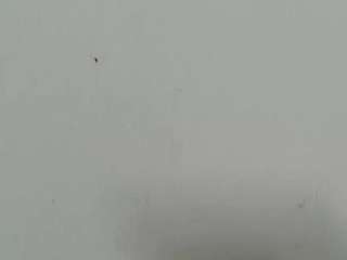 lilybenet1 live webcam show