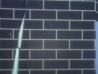 lovelymoo
