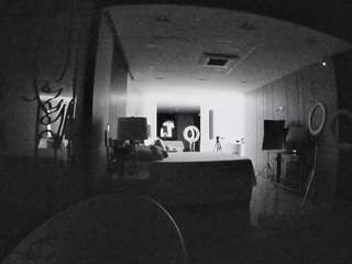  live cam