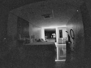 voyeurcam-casa-salsa... webcam