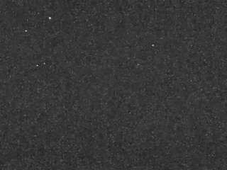voyeurcam-casa-salsa... webcam