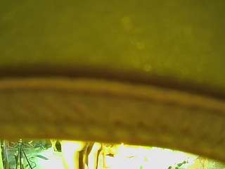 voyeurcam casa salsa bathtub pov