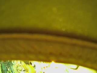 voyeurcam-casa-salsa-bathtub-pov