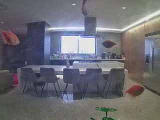 voyeurcam-casa-salsa-fishtank