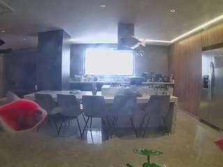 voyeurcam-casa-salsa-fishtank Adult Chat Riom camsoda