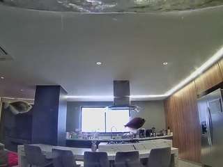 voyeurcam-casa-salsa-fishtank