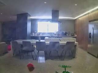 voyeurcam-casa-salsa-fishtank