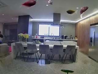 camsoda voyeurcam-casa-salsa-fishtank