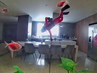 voyeurcam-casa-salsa-fishtank