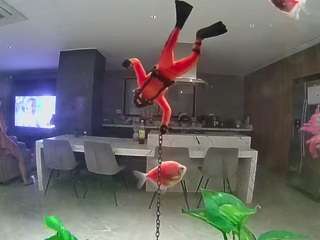 voyeurcam-casa-salsa-fishtank