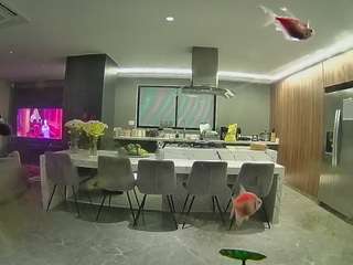 voyeurcam-casa-salsa-fishtank Free Adult Caht camsoda