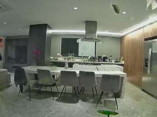 voyeurcam-casa-salsa-fishtank Adult Cam Roullete camsoda