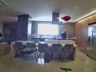 voyeurcam-casa-salsa-fishtank camsoda Sex Cam Milf 