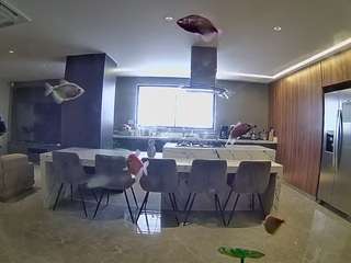 voyeurcam-casa-salsa-fishtank Best Adult Chat camsoda