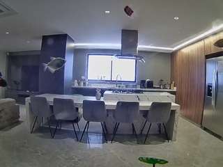 voyeurcam-casa-salsa-fishtank Adult Cam2cam camsoda