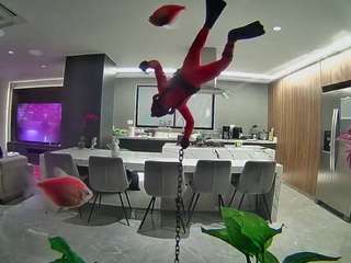 voyeurcam-casa-salsa-fishtank