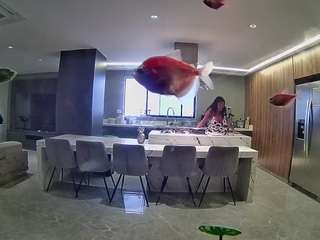 voyeurcam-casa-salsa-fishtank