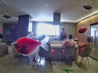 voyeurcam-casa-salsa-fishtank