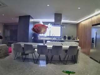 camsoda voyeurcam-casa-salsa-fishtank