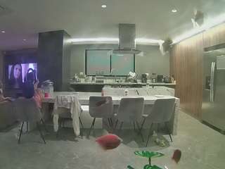 voyeurcam-casa-salsa-fishtank