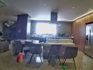 voyeurcam-casa-salsa-fishtank camsoda Cam Random 