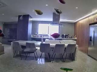 voyeurcam-casa-salsa-fishtank Adult Videio Chat camsoda