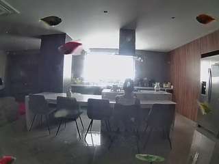 Adult Roulette Cam camsoda voyeurcam-casa-salsa-fishtank