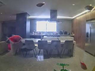 voyeurcam-casa-salsa-fishtank Adult Chat Fcn camsoda