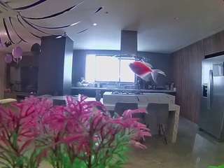 voyeurcam-casa-salsa-fishtank Private Adult Chat camsoda