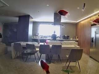 Online Adult Cam camsoda voyeurcam-casa-salsa-fishtank