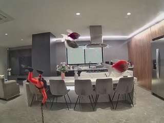  live cam