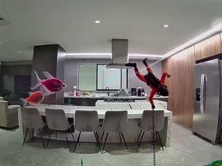 voyeurcam-casa-salsa-fishtank