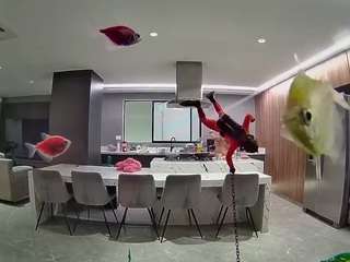 voyeurcam-casa-salsa-fishtank