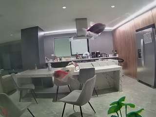 voyeurcam-casa-salsa-fishtank