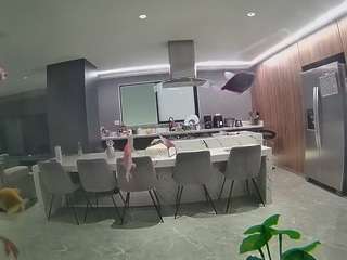 voyeurcam-casa-salsa-fishtank