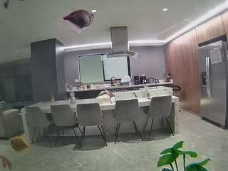voyeurcam-casa-salsa-fishtank