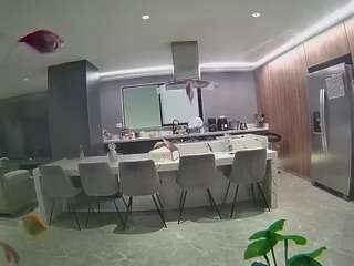 voyeurcam-casa-salsa-fishtank