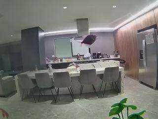 voyeurcam-casa-salsa-fishtank