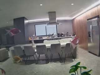 voyeurcam-casa-salsa-fishtank