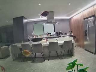 voyeurcam-casa-salsa-fishtank