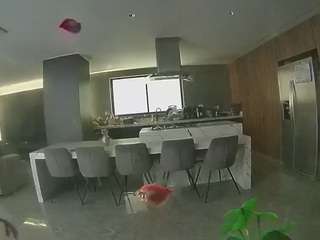 voyeurcam-casa-salsa-fishtank