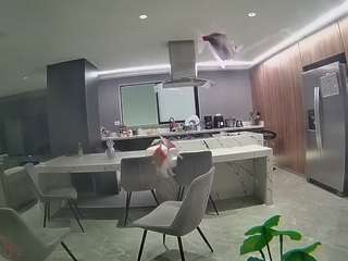voyeurcam-casa-salsa-fishtank