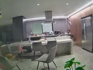 voyeurcam-casa-salsa-fishtank