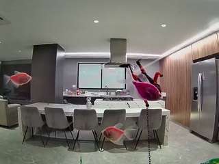 voyeurcam-casa-salsa-fishtank