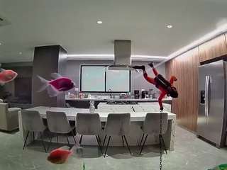 voyeurcam-casa-salsa-fishtank