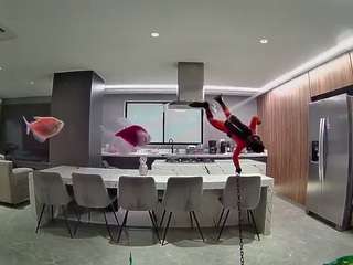 voyeurcam-casa-salsa-fishtank