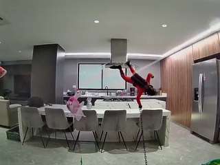 voyeurcam-casa-salsa-fishtank