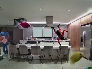 voyeurcam-casa-salsa-fishtank