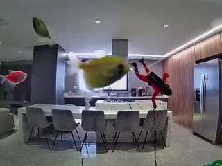 voyeurcam-casa-salsa-fishtank