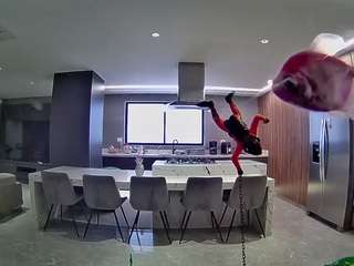 voyeurcam-casa-salsa-fishtank